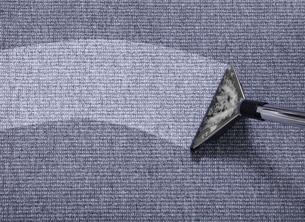 A vacuum cleaner removes dirt from a carpet, symbolizing a protection and prevention service based in San Antonio, TX.